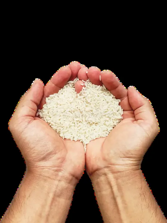 Arroz de grano largo seleccionado