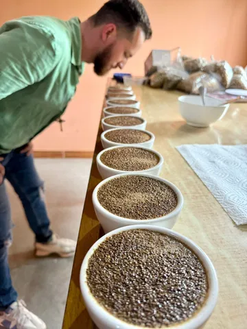 Evaluación de perfiles de café