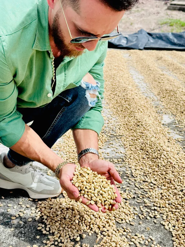 Selección de café oro nicaragüense