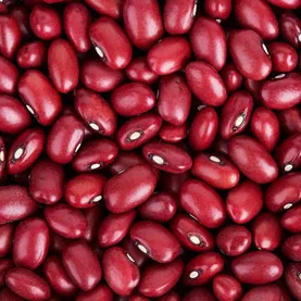 Detalle del frijol rojo seda